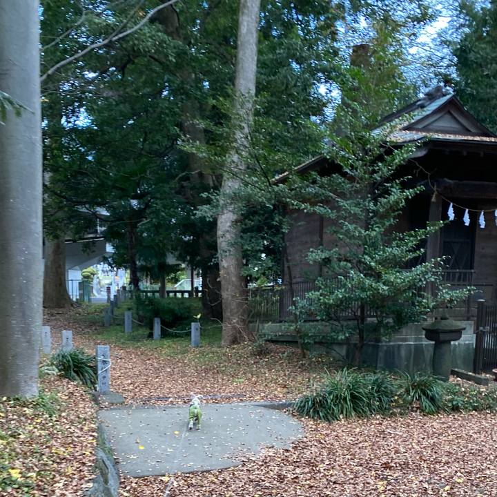 54ff6547 407e 45ed 9be5 6708f1508a1d 1639092757156