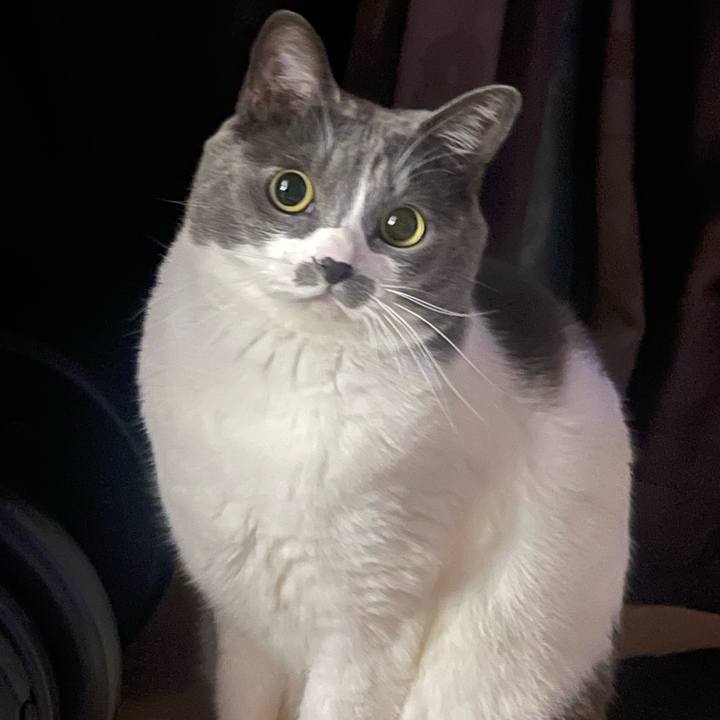 54ff9f68 0ae7 4e93 a2c5 a39cc8f30210 1738499846249