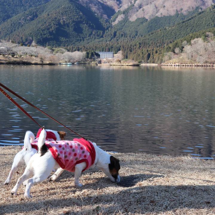 54ffc57c d10e 4d88 89ae f32cd7d05eb2 1514544432702