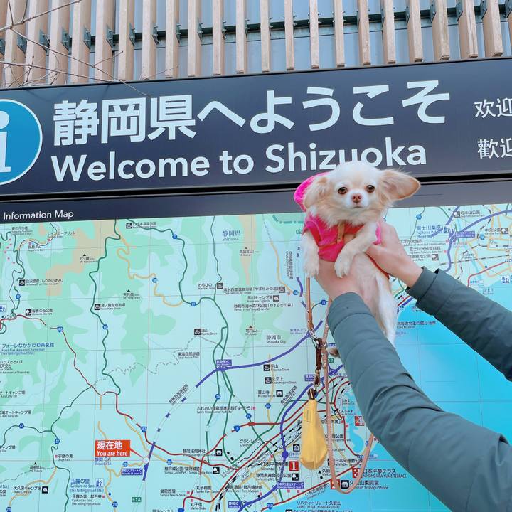 54fff45b ee52 4cf1 8ba9 96ed5d06f5fc 1672727847110