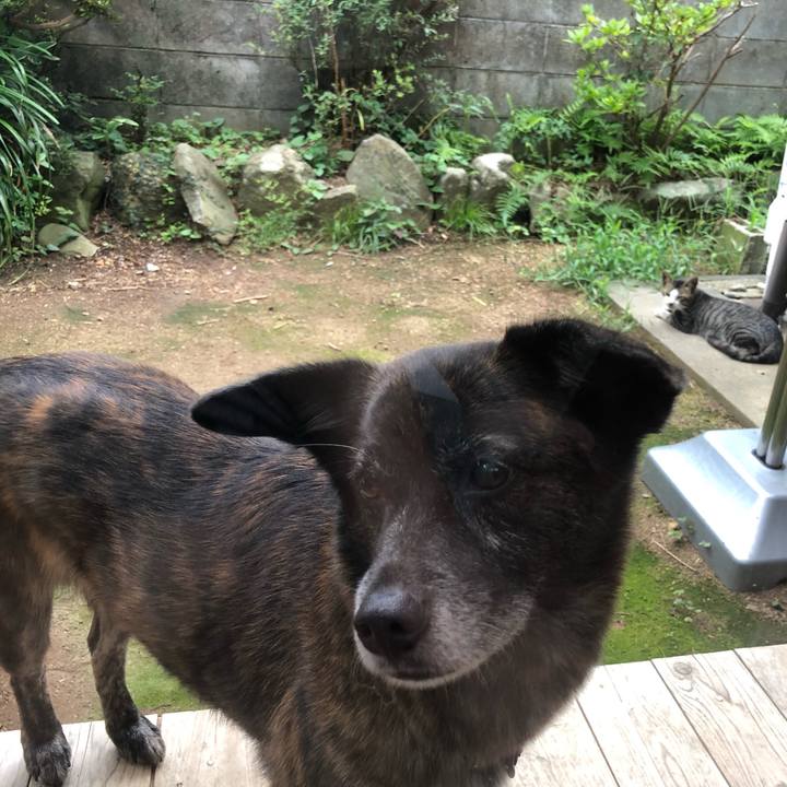 55001bde 96b4 4888 9d0f 3ac2a86d2171 1562730677423