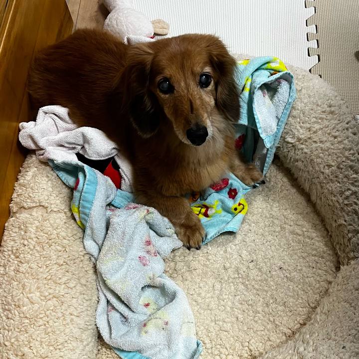 550024f8 62af 4392 85b0 e128f1b2bc52 1665148389965