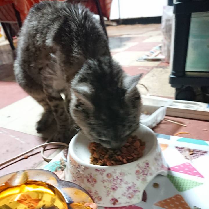 55004db9 a4ee 4ca3 a9e4 13aaf2ac8215 1591903292952