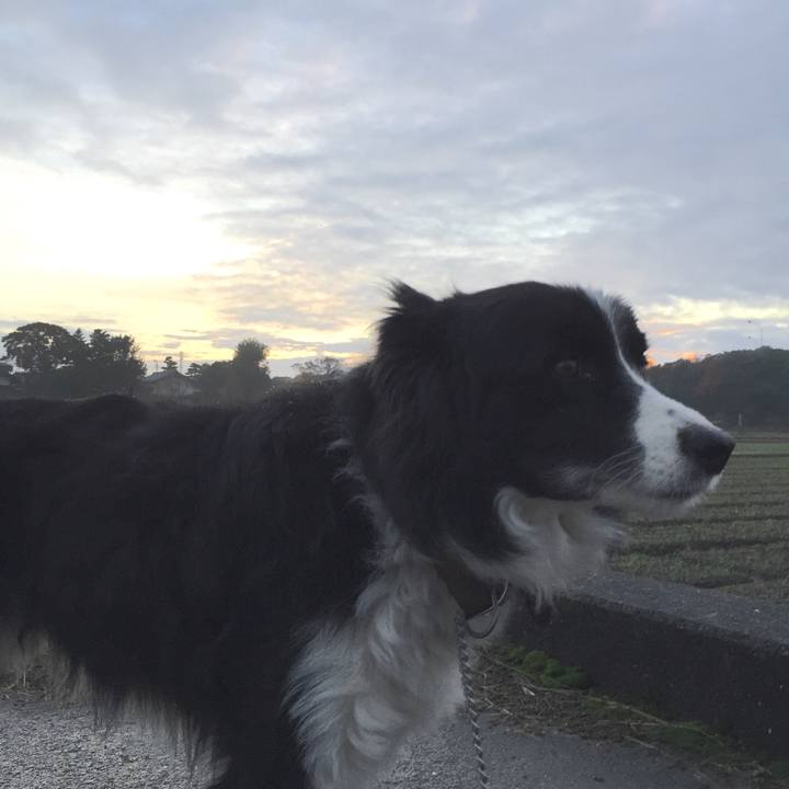 55007d9d c3b9 4b93 adee 82f23f3d1a93 1543875093422