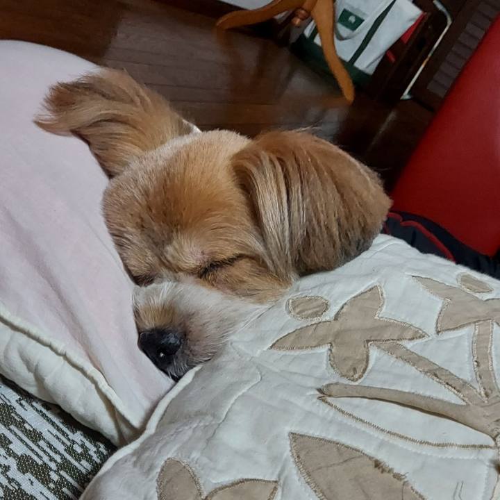 55007e18 a1eb 4c9e baed fbf5f514673e 1662465439648