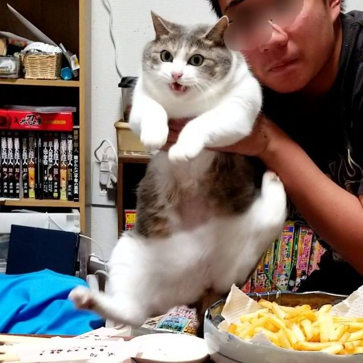 550088cb c271 4e05 bd02 5da3a721a120 1632925519814