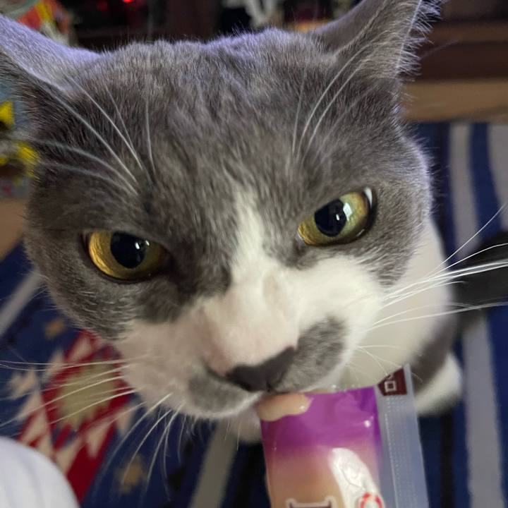 55008d83 8a27 4e32 a9e0 9f8d82577d33 1657010869606