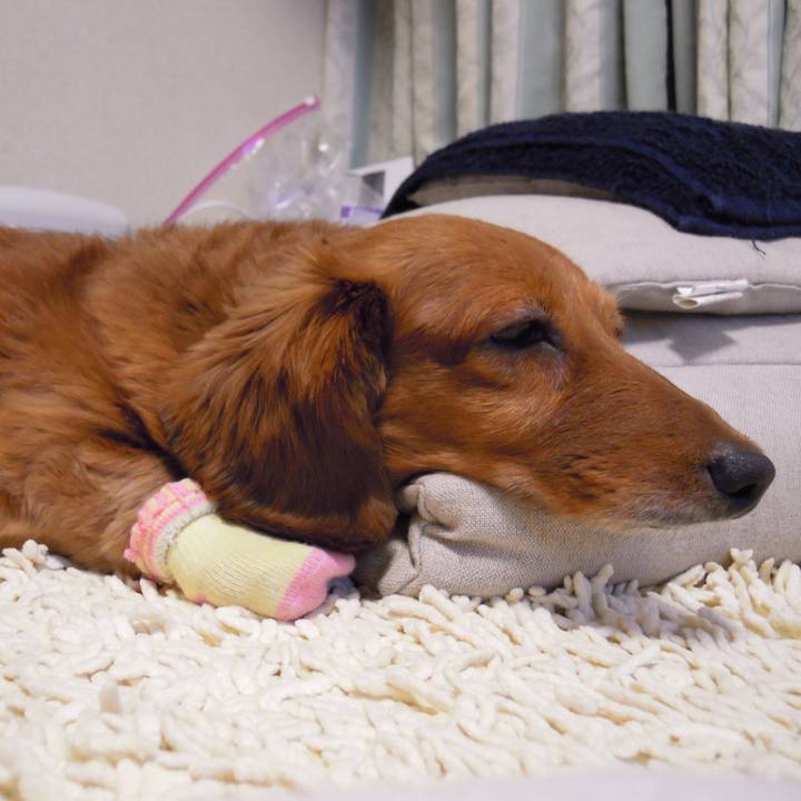 5500c1cf 5f7c 433f b649 a03501d727f2 1542305331523