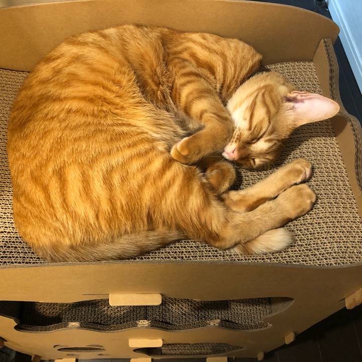 55011256 e484 4db9 b252 c45b7a3acc53 1640420960182