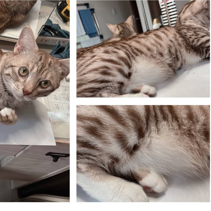 5501425c 9355 436f ab66 1d9566d79653 1659654276676