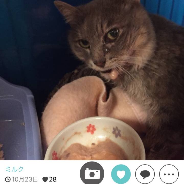 55016964 a74e 4130 8698 b8d636e8392c 1511691060672