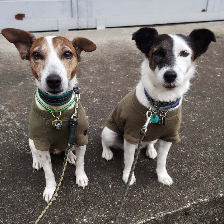 55016b09 752a 4984 ae69 f5f1ee497020 1760047541331