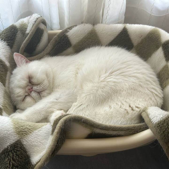 5501e0d4 b4a1 4f0c ae00 5f043ce79791 1728887915805