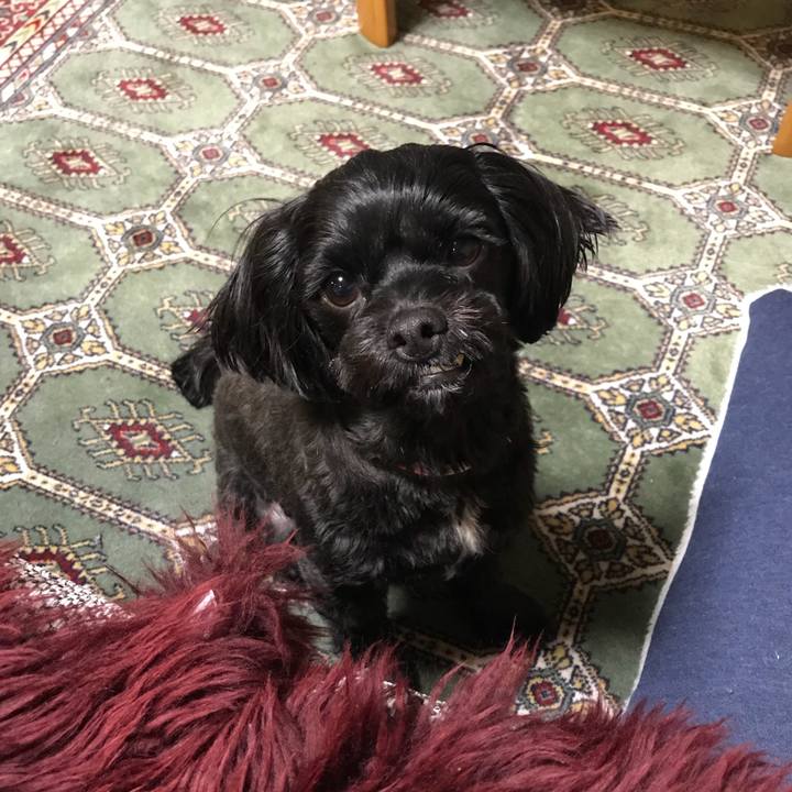 5501fd88 b374 4b5d 8f76 e7a782fd81b0 1518187603931