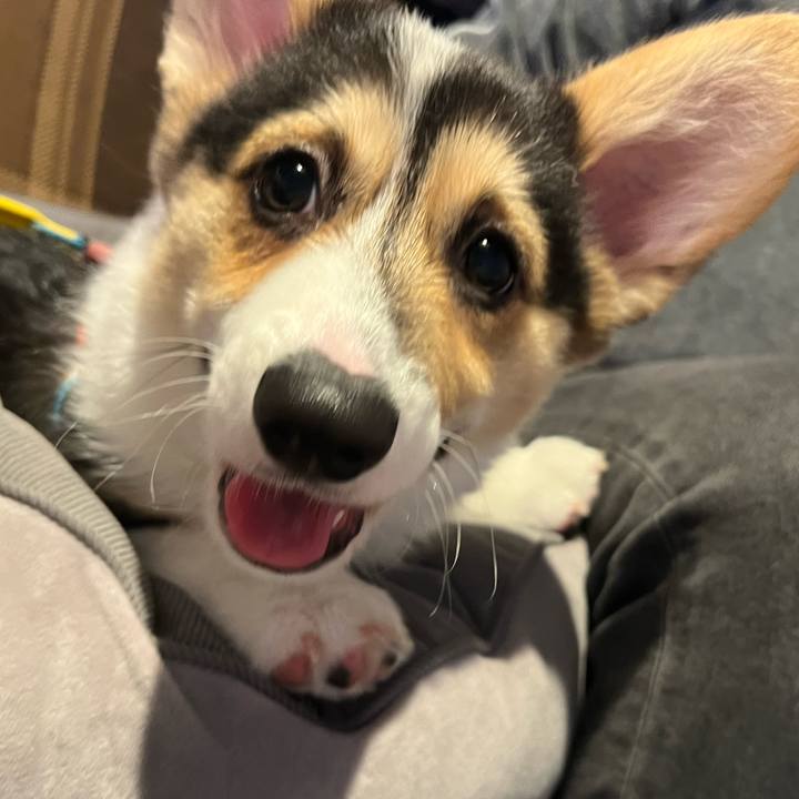 550230c0 b73c 4004 a461 c64710ec36d3 1771770653009