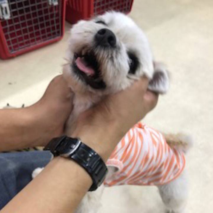 55024c73 ef94 450c 86f5 f54acede5915 1531825430627