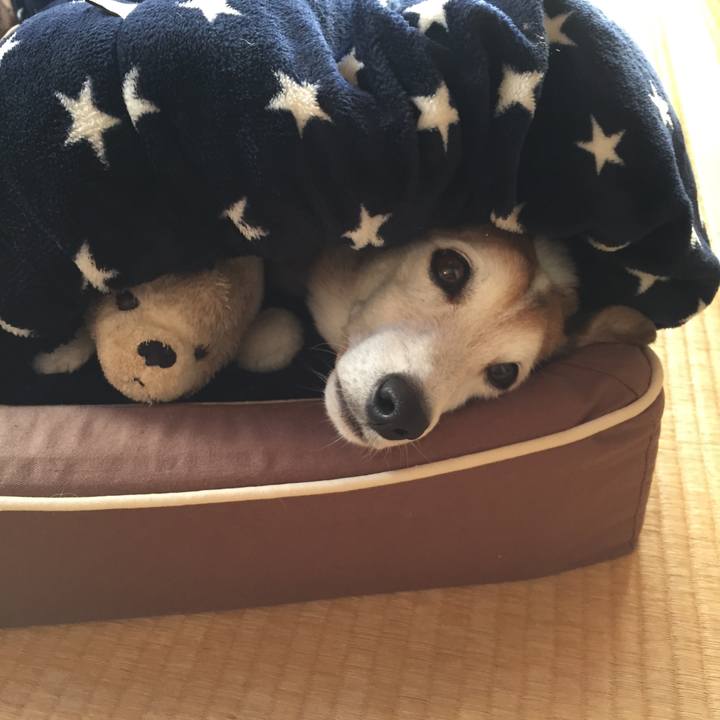 550286ec 5c7d 4e6d bf2c 99c46a3aa73f 1511673543921