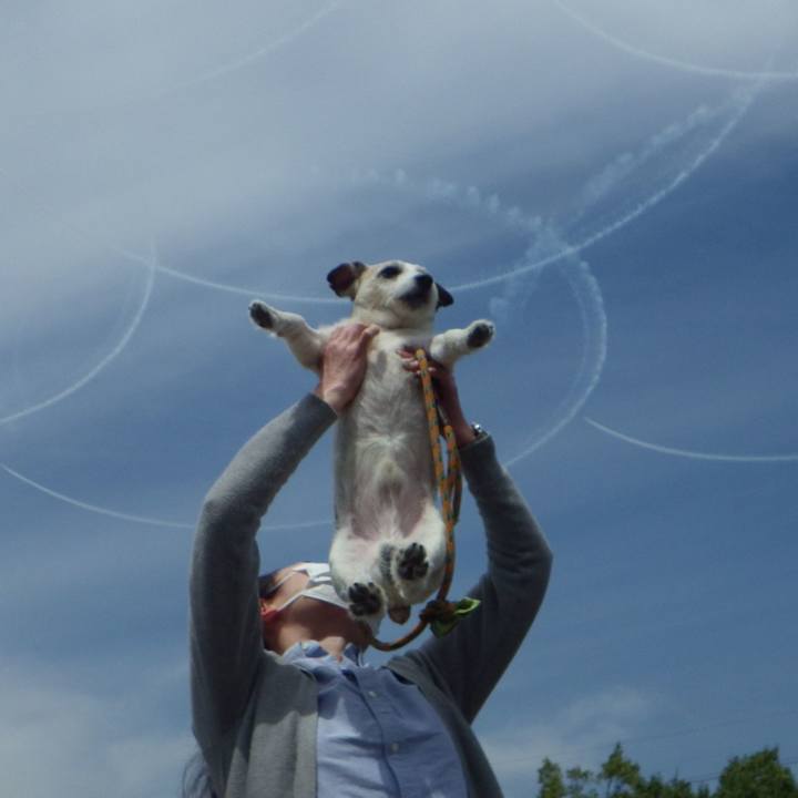 55028c38 b91a 41ad 8082 02e76343d90f 1619088844517