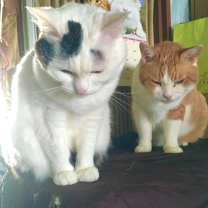 55029144 dd26 4ec6 a53d 1846928822e9 1587962497022