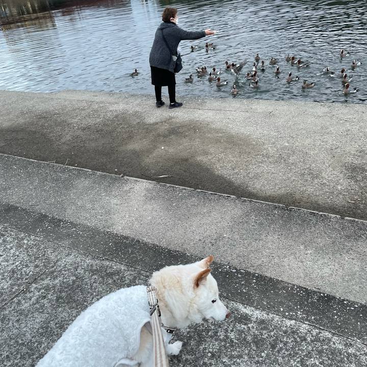 5502ab28 f2e6 48ed b8ba c322d66d6df9 1641475736271