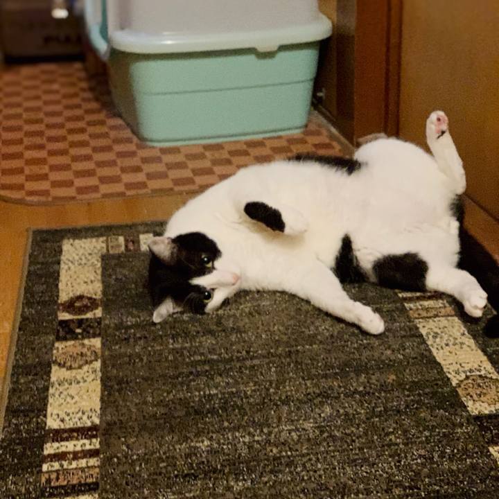 5502f77c 8d9b 4a28 a5b3 a1e78bdf802c 1554000144365