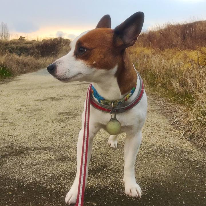 550320f3 0998 48c7 b860 192b0412a898 1515489564343