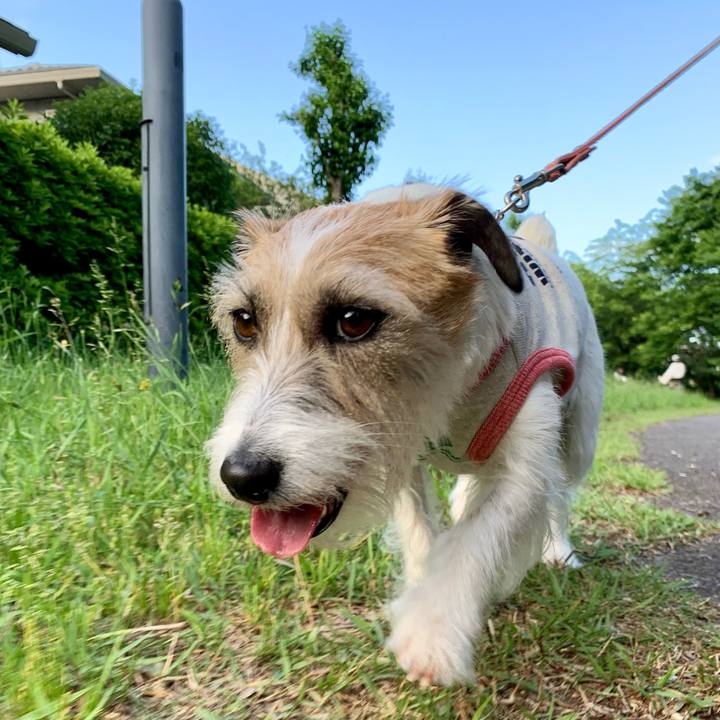 55035a21 0ec1 4147 a6c4 7d5fe9c2e3b3 1684583259652