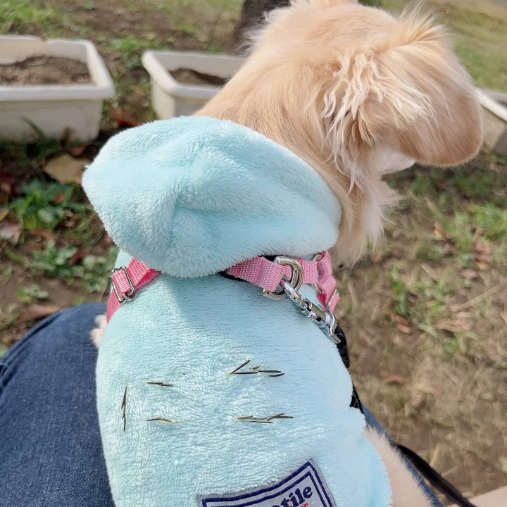 550383cb d817 4d4a 858d 4a350a38ef09 1731313333682