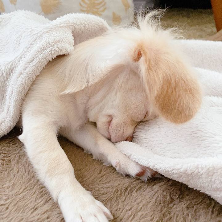 5503afcc f524 4c17 941f 54e7b481d416 1594210645677