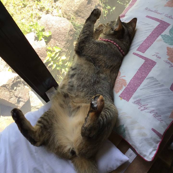 5503ea80 5aed 4eeb b91c e1027b419f36 1588396751199