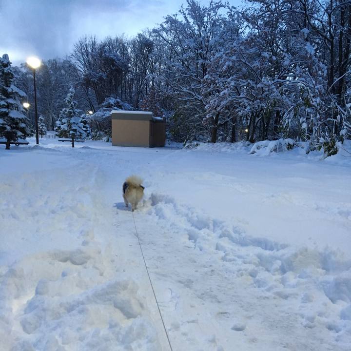 550402ef a1f5 46b4 9afe dc354f5442a0 1511087220701