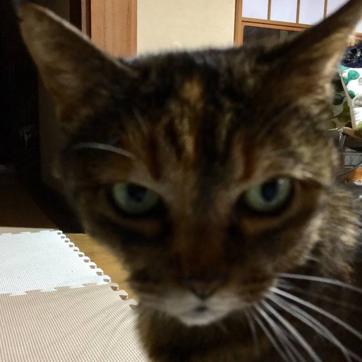 5504081f d40b 498d a702 c432e1486d43 1526037646994