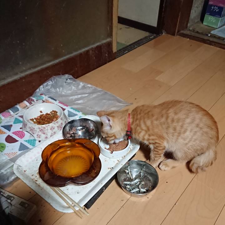 55042e6c 08b3 4382 8869 0e88bd001f99 1632515708368