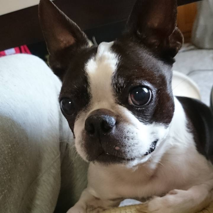 5504322b 4a7b 418c 9f2c 5178a4ebdb59 1679976575197