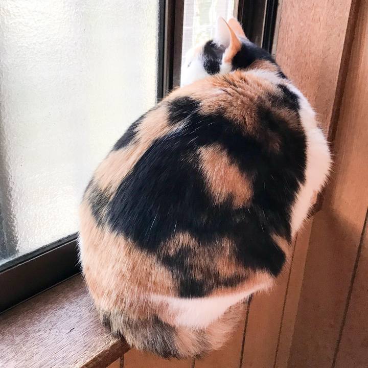 550448d5 b461 4ecf a967 bb2f7d78eb24 1518929046151