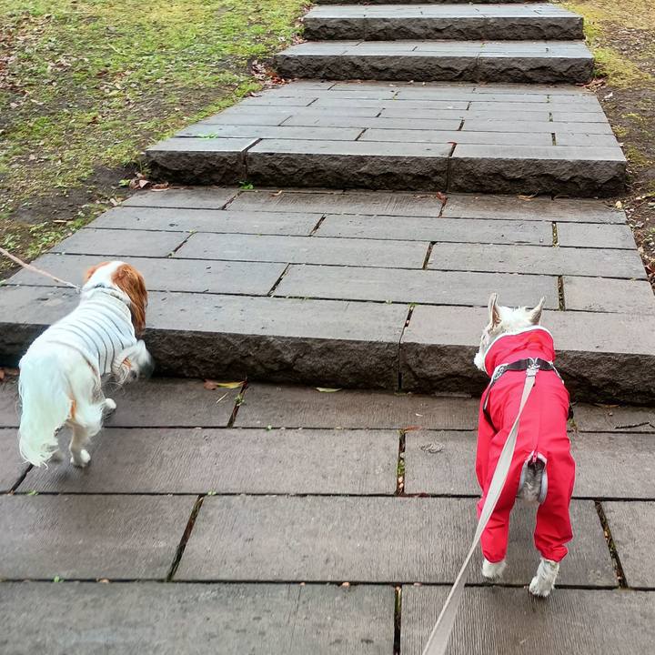 550454a7 846f 4f7e 849e 1886b9e7c822 1774514593521