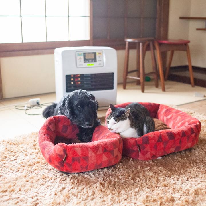 55047269 833d 4fd1 a790 11f165c5912b 1583284631789