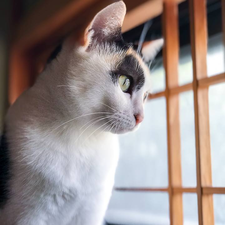 55048187 dcdf 4aa5 9134 2f55324acdfa 1509169727642