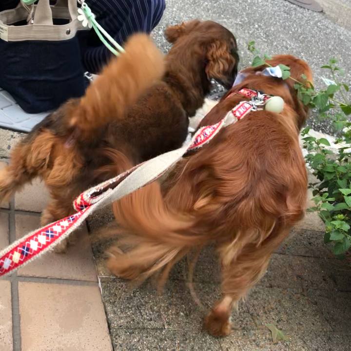 550482a1 89be 47db 8f6f 2774a7a9b43f 1596367978860