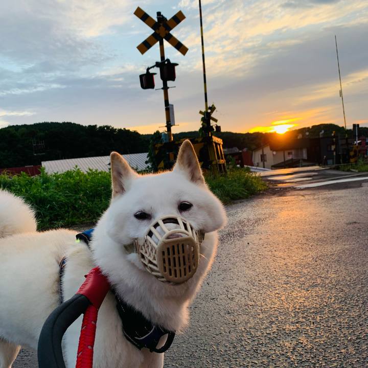 5504954f 744d 4d9b 8e05 3f69b1559107 1659990082082