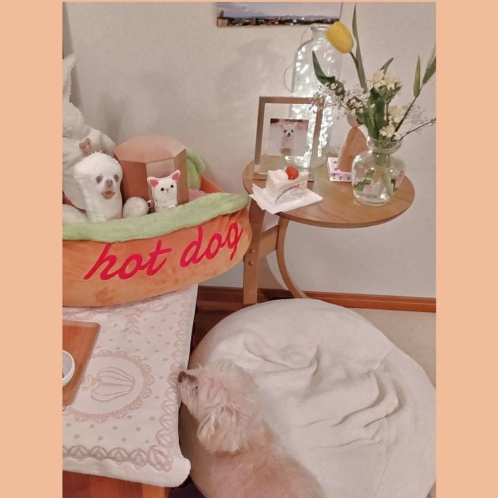 55049d13 b89e 490f b139 bbf0603db648 1712058981576