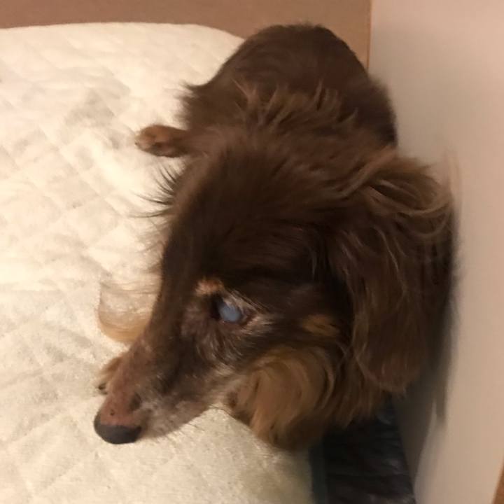 5504b707 5065 4a64 8c1f c7f7c4697b0a 1570859340879