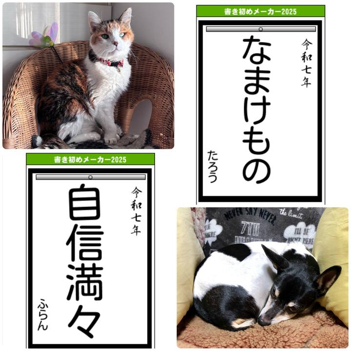 5504bfcc 5e9a 4e33 99fb e080a70d1436 1735890543144