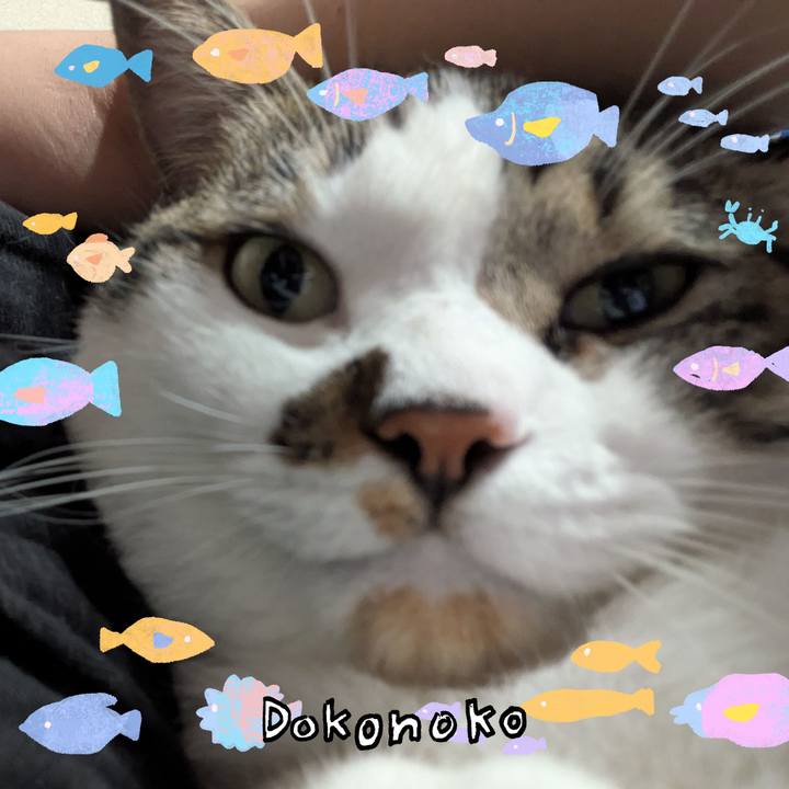 5504e427 58bf 4fd6 94b3 8a203bcd09fd 1755397930171