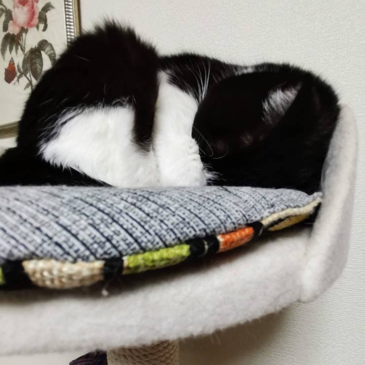 5504fa61 252d 4801 b73b d9c73854ffe8 1702610100826