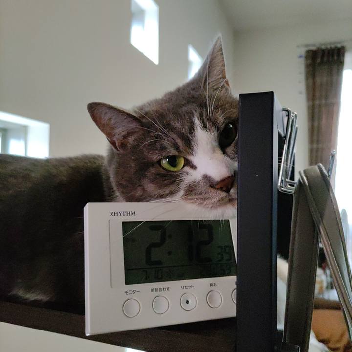 55050983 5395 4bd2 8a41 d44f859e4c99 1720588355875