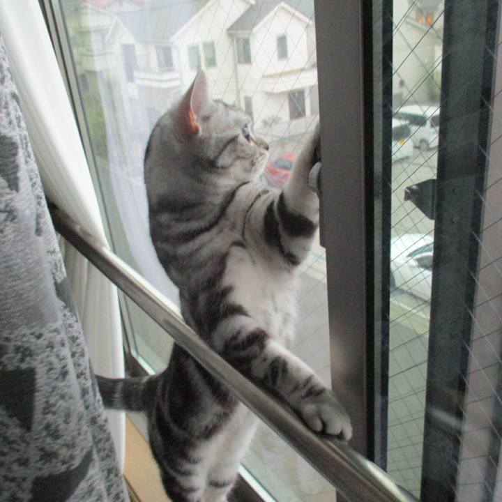 550571c9 1bad 4121 a3b5 eed47b50fad3 1556285469635