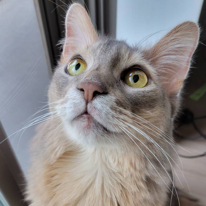 55057386 4bb5 4c17 9d5b ce7f3e08edba 1686980643029