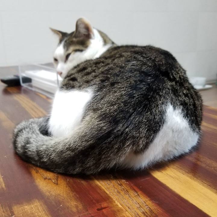 550575ef a086 4a91 be0c 54d9448665e6 1554090306467