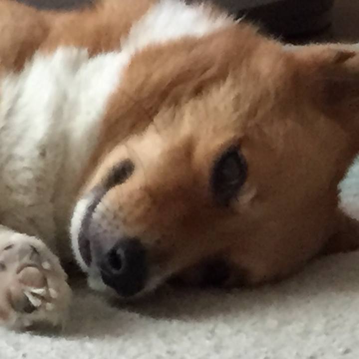 55058536 481d 4c68 9a39 735a2640d865 1508129847119